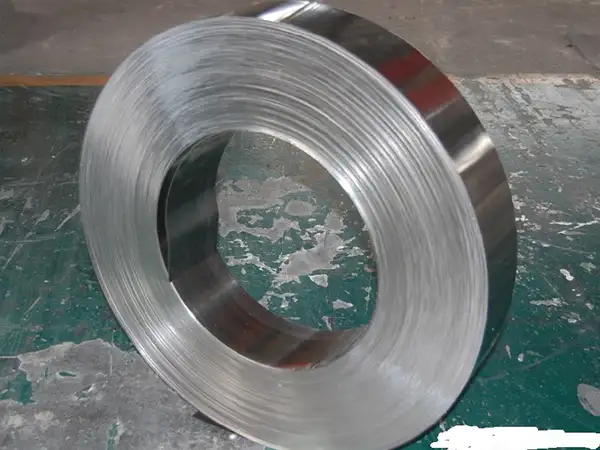 Stainless Steel Strip