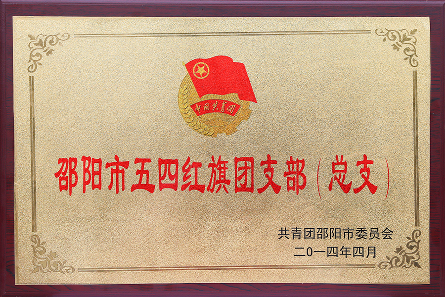 团总支