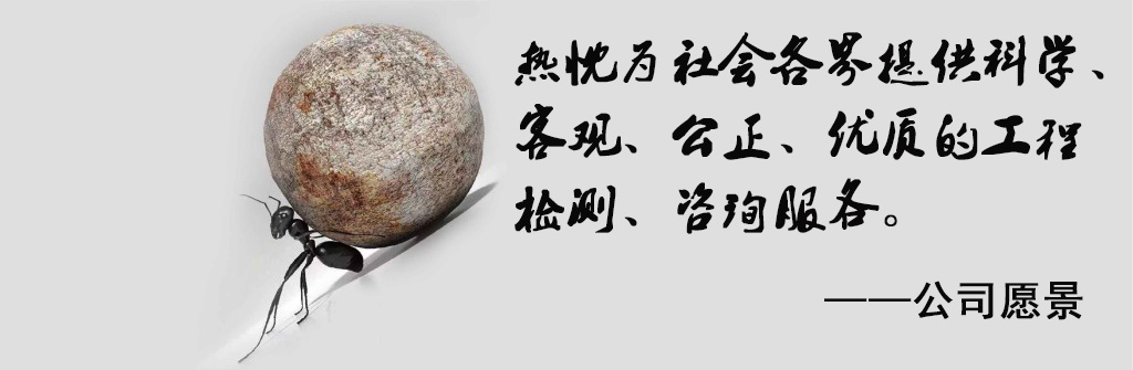 公司愿景