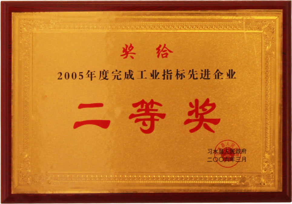 工業(yè)指標(biāo)先進(jìn)企業(yè)二等獎