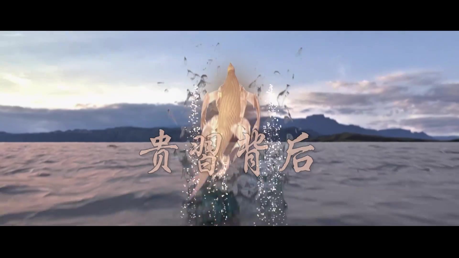 貴習(xí)背后.mp4