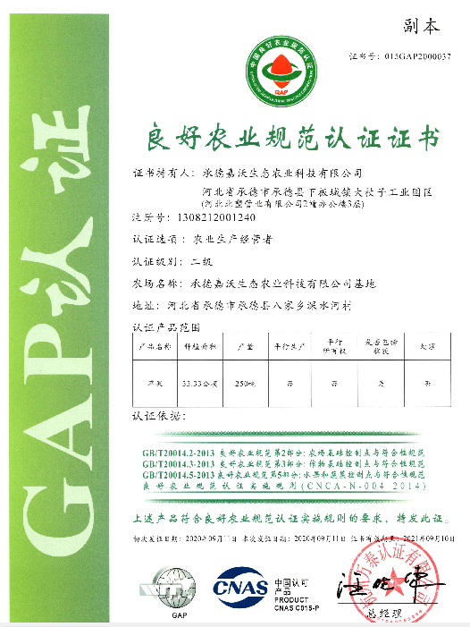 质量标准