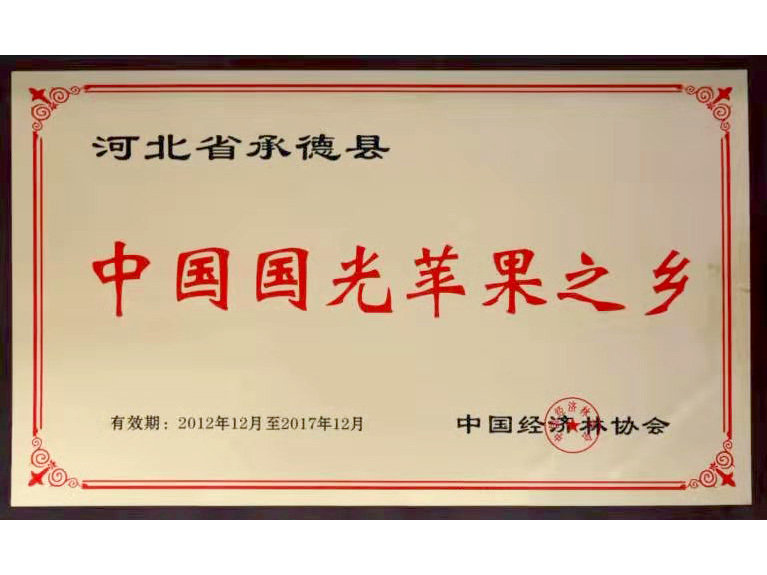 中国国光苹果之乡 2012