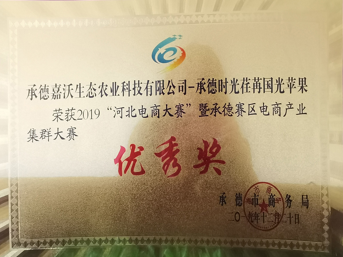 河北电商大赛优秀奖