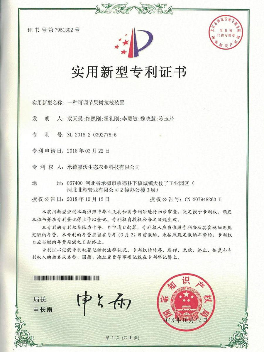 专利证书