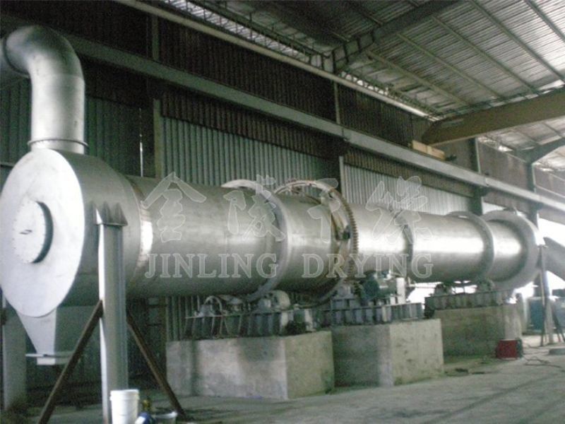 Sludge special drum drying system