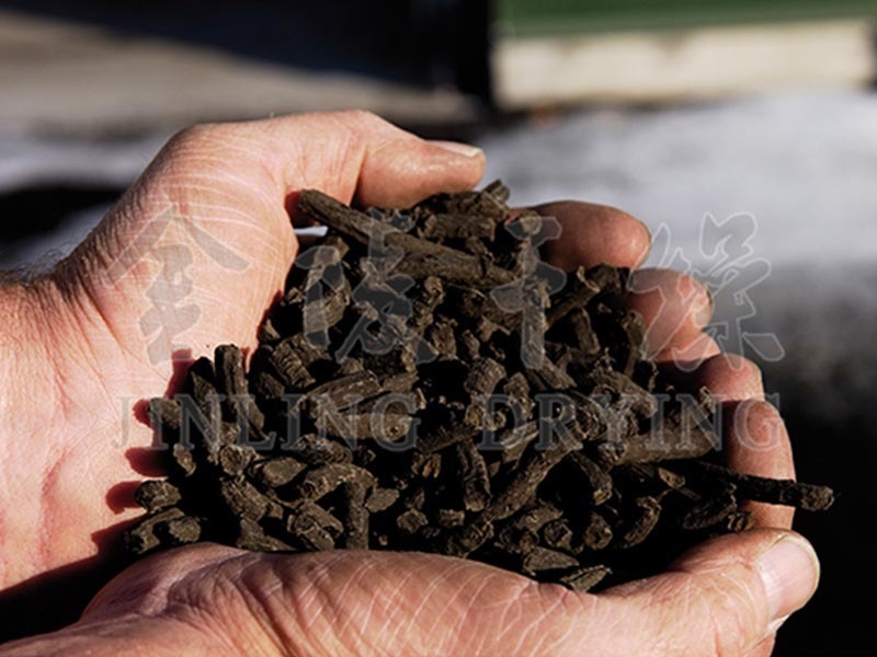 Mid temperate sludge dryer