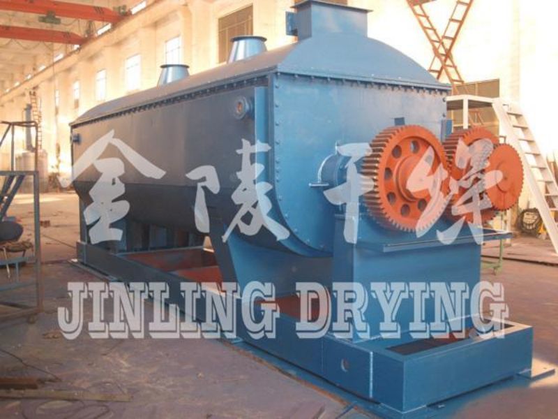 Paddle sludge dryer