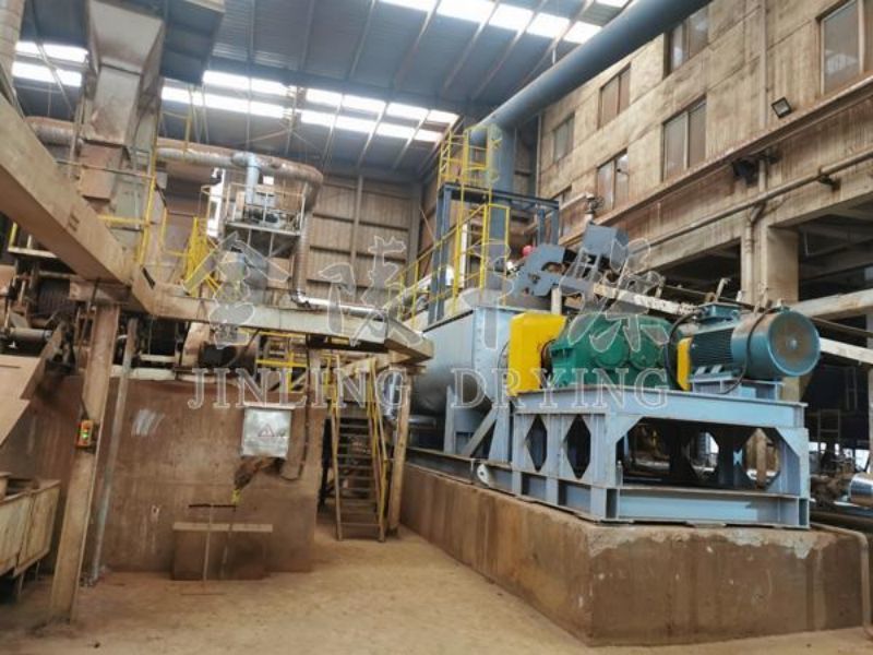 Paddle sludge dryer
