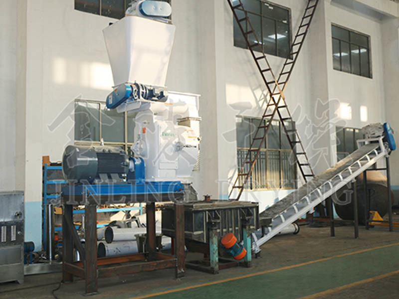 Collaborative treatment system for sludge and biomass