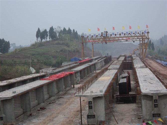 武漢市新洲區(qū)舉水河特大橋
