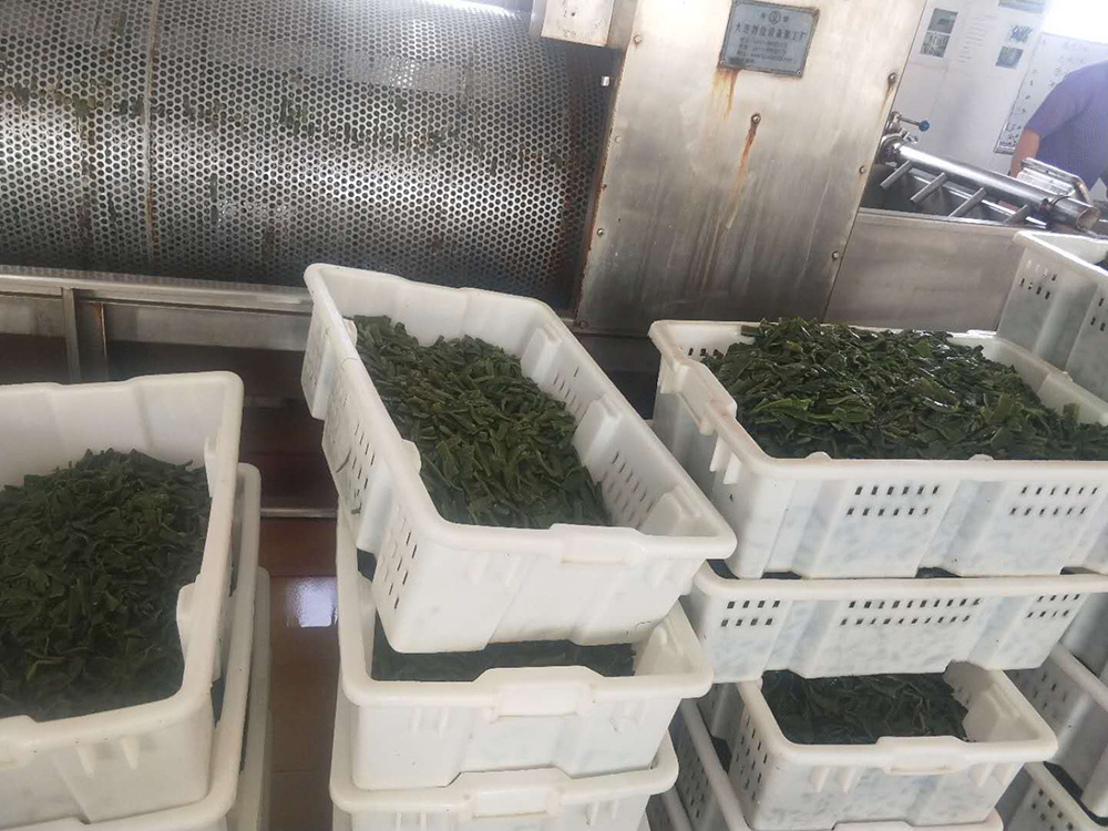 梗段