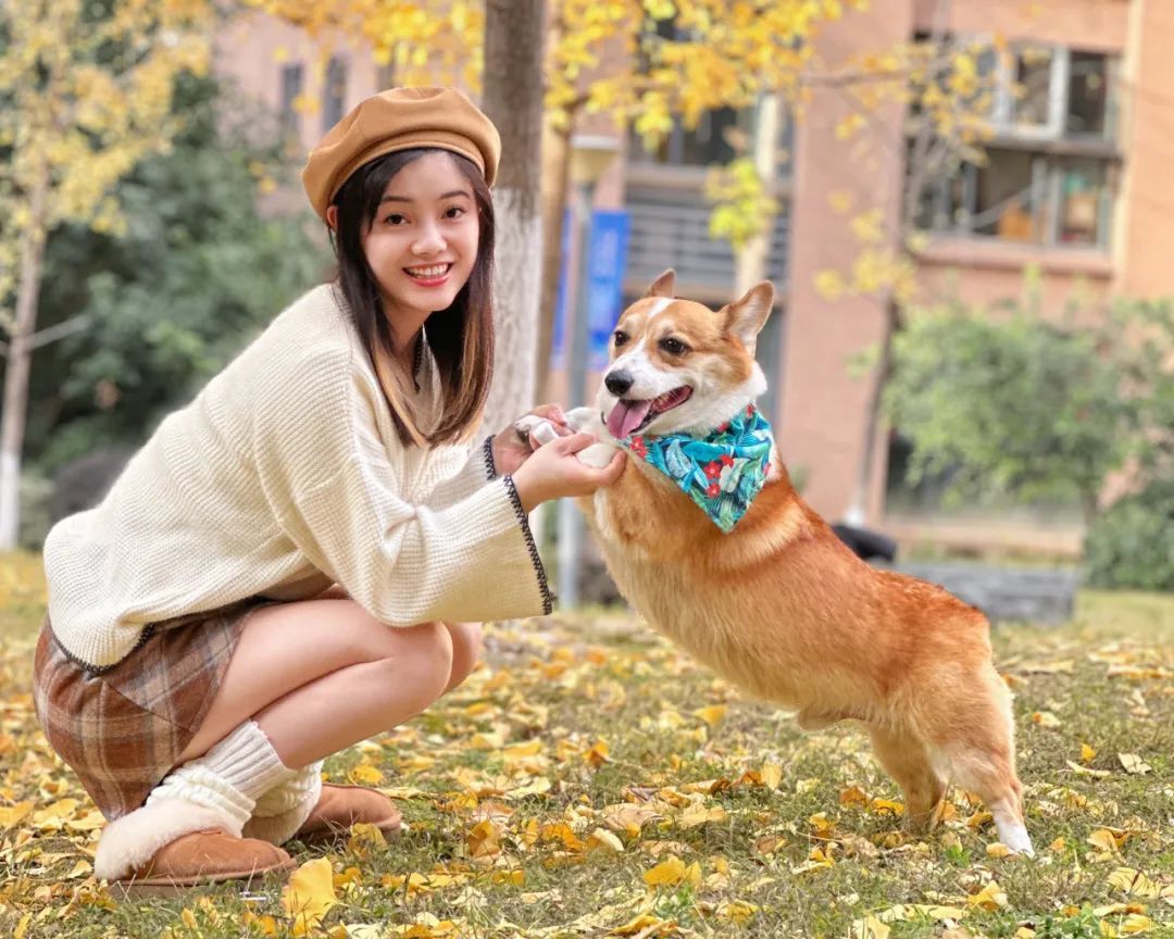 鍥剧墖