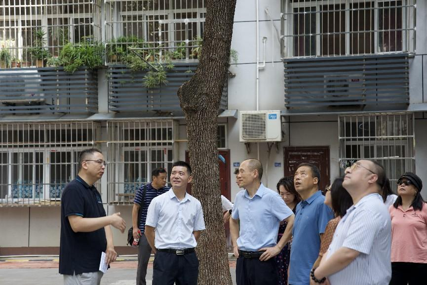 鍥剧墖