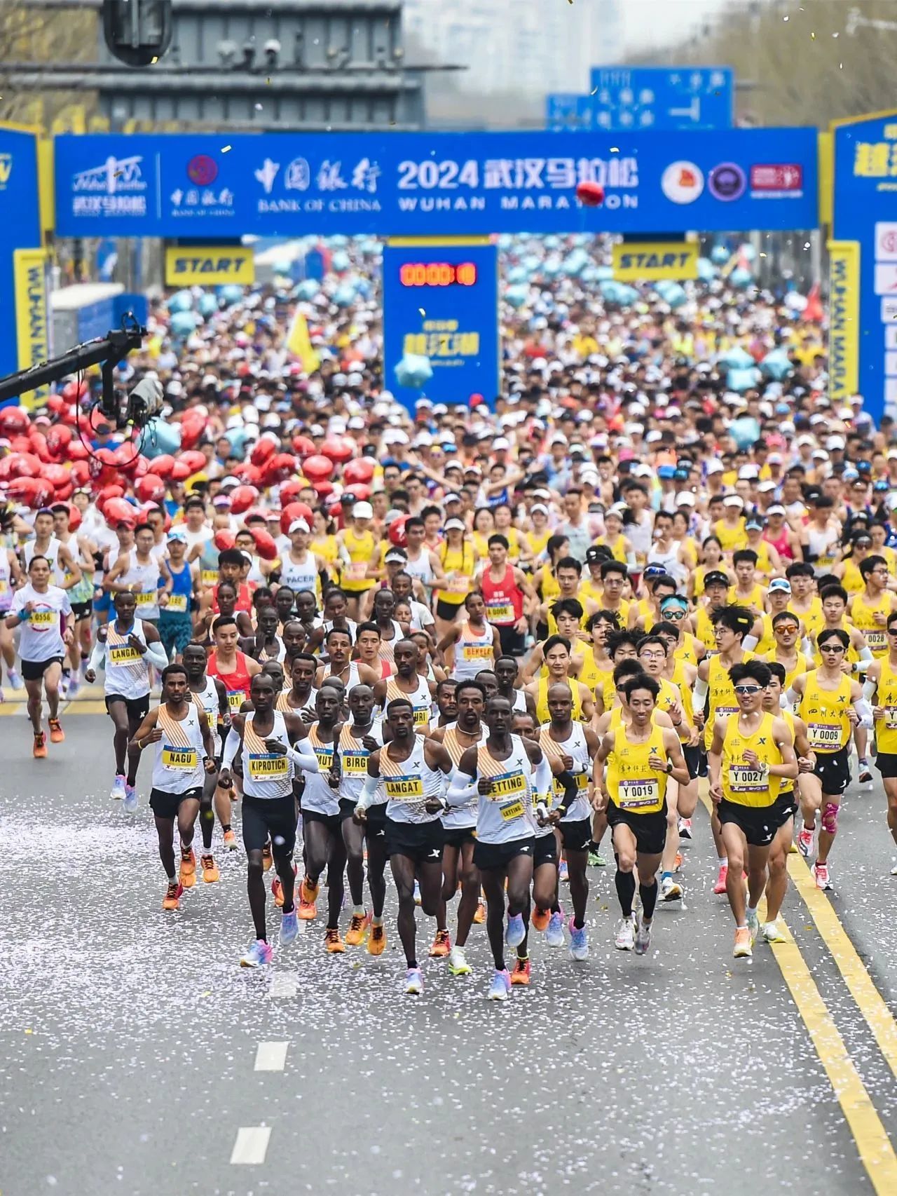 鍥剧墖