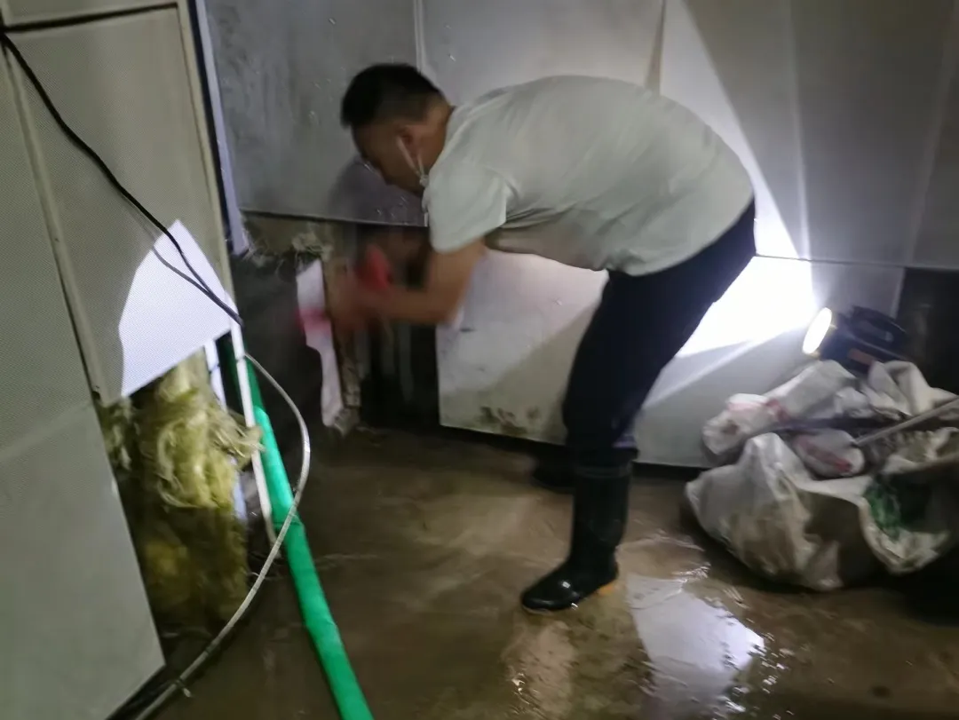 鍥剧墖
