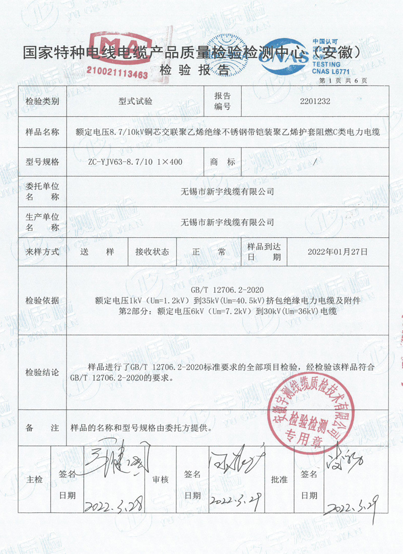 檢驗報告