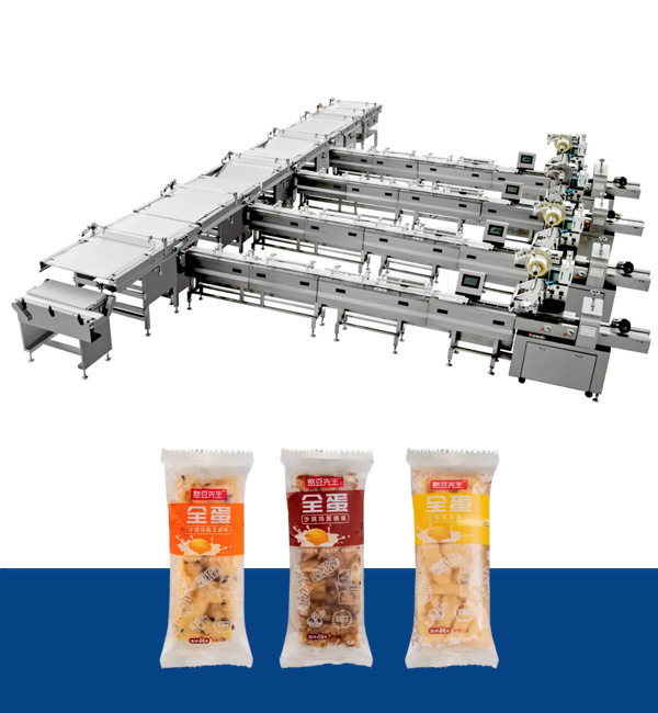 Ligne d'emballage automatique d'alimentation et de débit par immersion
