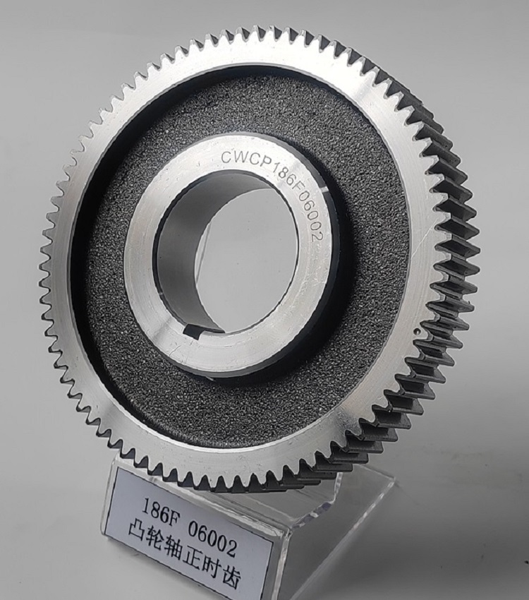 186F 06002 camshaft timing teeth