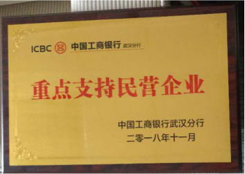 喜讯！公司荣获“重点支持民营企业”称号