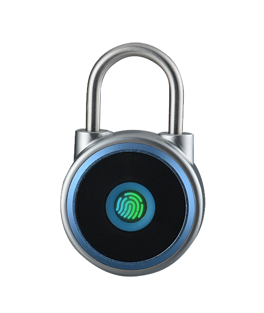How to judge the anti-theft performance of a fingerprint lock?