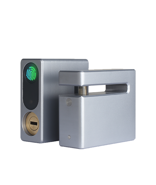 What are the types of smart door locks?