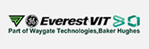 Everest VIT Everest VIT