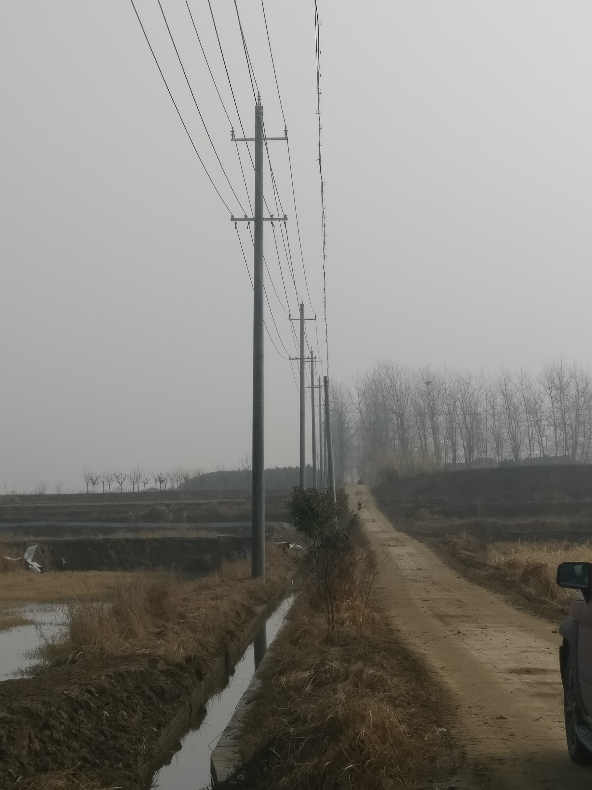 国网来安县供电公司水口供电所区域配网线路与设备运维与检修