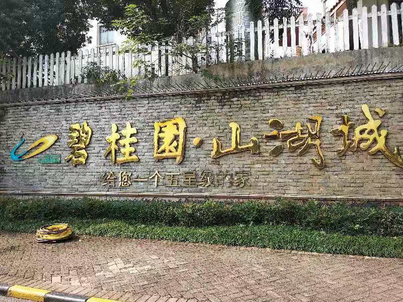 宁乡碧桂园山湖城十一区电气安装工程
