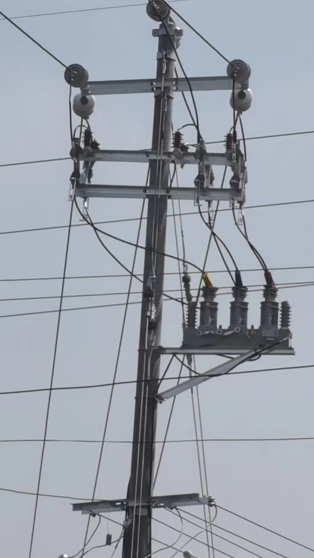 湖南岳阳汨罗10kV川城线网架结构优化工程