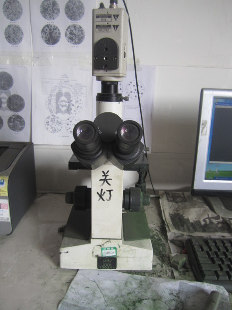 显微镜