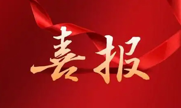 我司组织参观新建武汉和谐型大功率机车检修基地