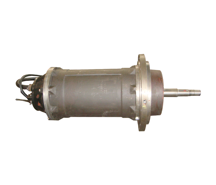 Refrigeration motor