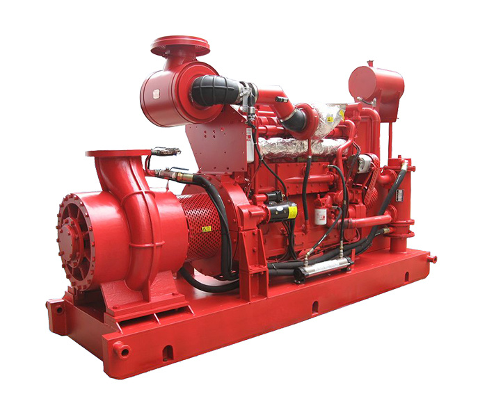 Diesel fire pump group