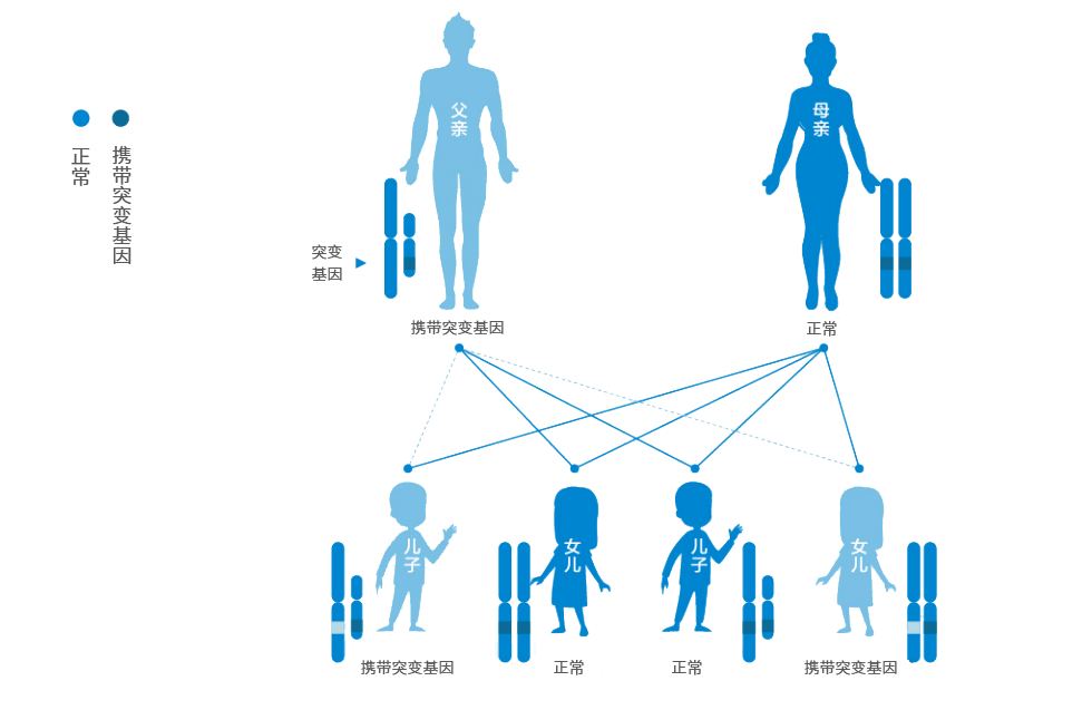 遗传