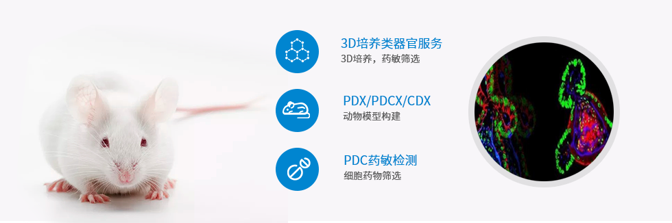 详情