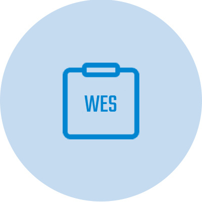 WES分析