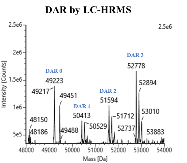 DMPK-antibody drug conjugate package