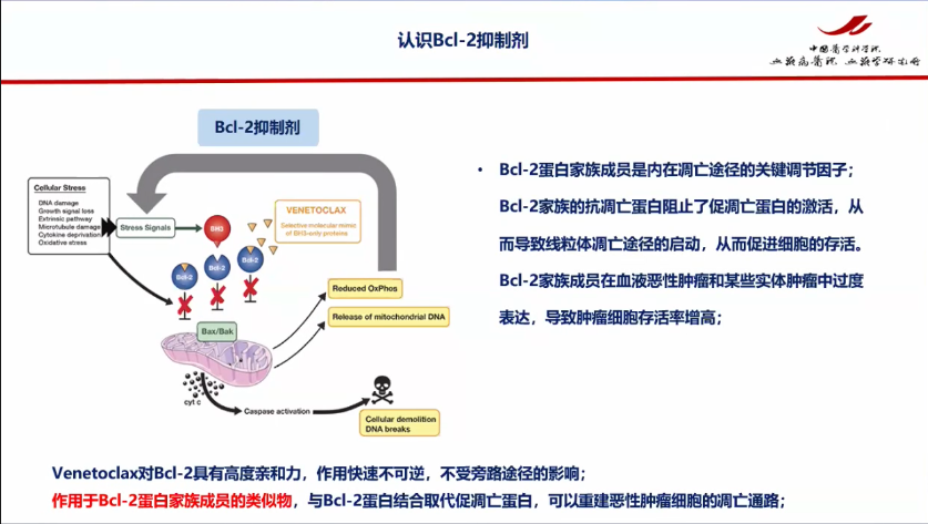 esball世博(中国区)官方网站