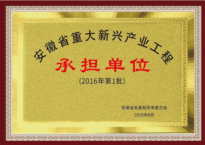 安徽省重大新兴产业工程承担单位