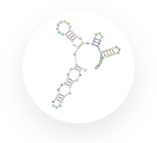 SELEX