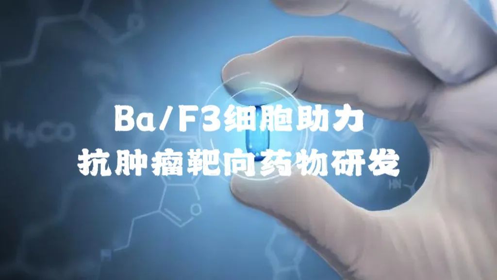 Ba/F3细胞助力抗肿瘤靶向药物研发