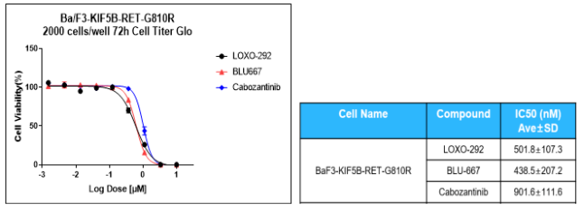 bc11e428-5b78-4719-96ef-72e21c0e3051
