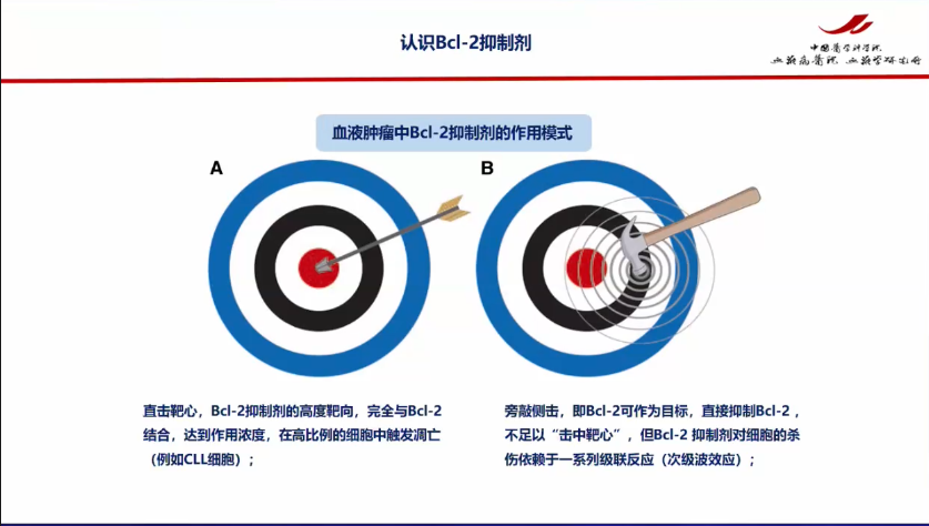 esball世博(中国区)官方网站