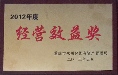 2012年度經(jīng)營效益獎(jiǎng)