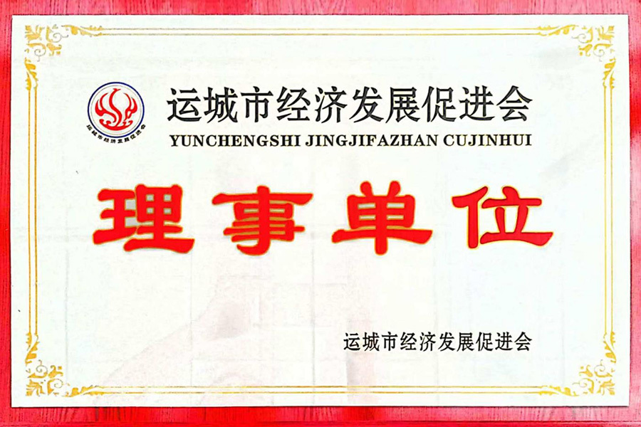 Council Unit
