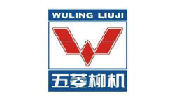 国内企业