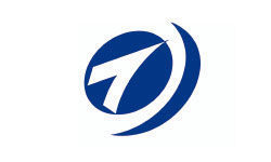 国内企业