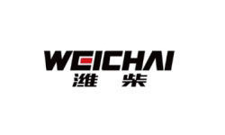 国内企业