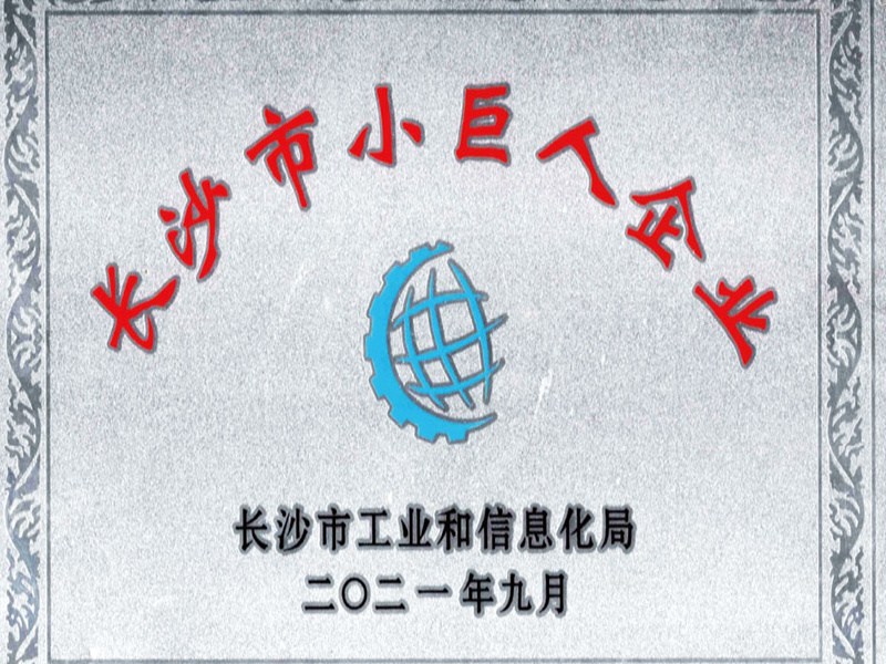 长沙小巨人企业